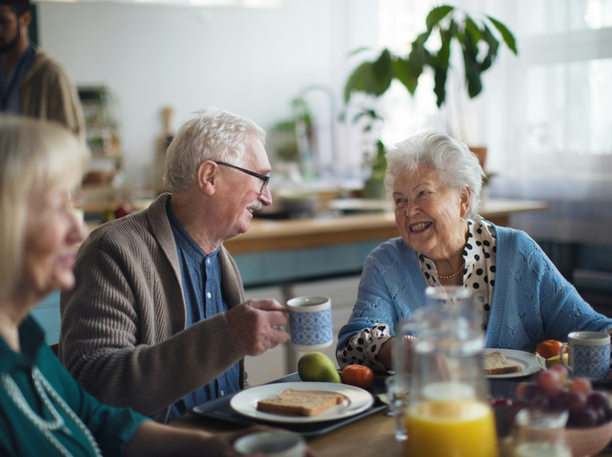 senior dietary food