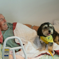 Mistakes Families Make When Reporting Nursing Home Neglect
